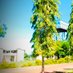 Busitema Faculty of Agriculture & Animal Sciences (@arapaitimes) Twitter profile photo