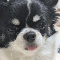 かくれ格オタ (@9y4y_kp) 's Twitter Profile Photo かくれ格オタ (@9y4y_kp) 's Twitter Profile Photo