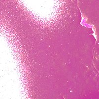ᴄʜᴏʙᴀᴍᴊᴊᴏᴋ (@chobamjjok) 's Twitter Profile Photo ᴄʜᴏʙᴀᴍᴊᴊᴏᴋ (@chobamjjok) 's Twitter Profile Photo