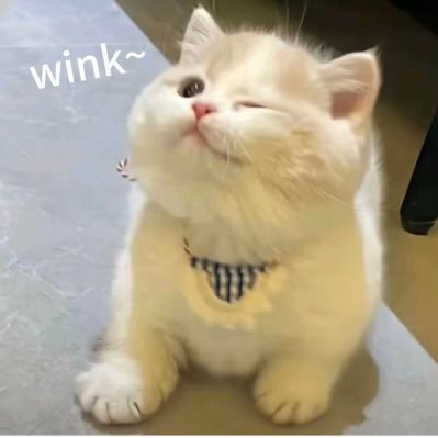 fayowoaini's profile picture. 