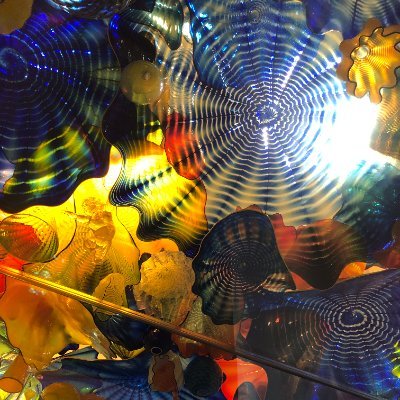 oratom11's profile picture. 