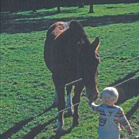 Remi Theinert * SkogRå (@remitheinert) 's Twitter Profile