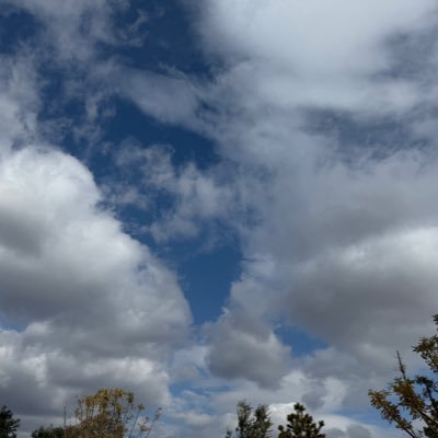 chaserluuu's profile picture. Comeback for FayeYoko