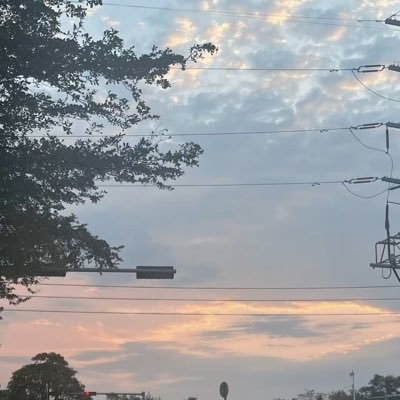 nuomi31's profile picture. 