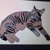🏯👘🐋🎀本日の主役🍙🌸🐝😈❤︎🍓☪️😈🤍スレイブナンバー233です。 (@r6qadxukxdievic) Twitter profile photo