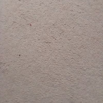 cov411422988004's profile picture. 