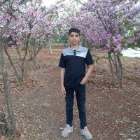 Ahmed Ali Ababneh (@ahmedaliab36193) 's Twitter Profile