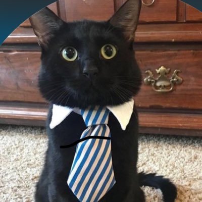 Kyto_Krxy's profile picture. A