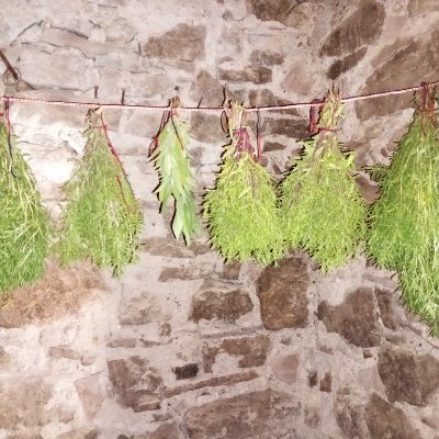 wuschele007's profile picture. Die Welt ist nicht nur 🖤/🤍.