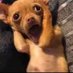 my vibe is just living life (@another1thanku_) Twitter profile photo my vibe is just living life (@another1thanku_) Twitter profile photo
