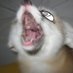 FennAD (@ad_fenn) Twitter profile photo FennAD (@ad_fenn) Twitter profile photo