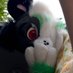 IttyBittyKitty (@lilbosko) Twitter profile photo IttyBittyKitty (@lilbosko) Twitter profile photo