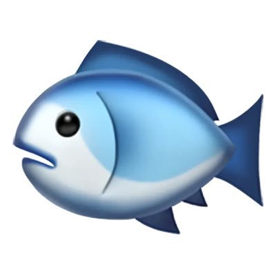 03/お魚捌けます