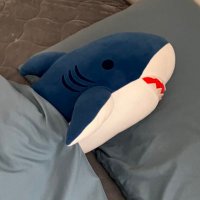 安田 朝陽 (@distortionalman) 's Twitter Profile
