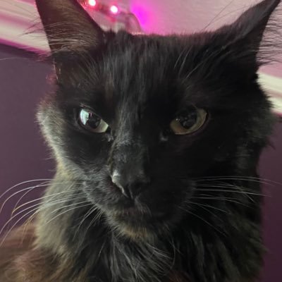 hktron_'s profile picture. The only good magat is a dead one