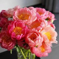 Peony Group (@grouppeony) 's Twitter Profile