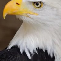 Mark (@mark62129196) 's Twitter Profile