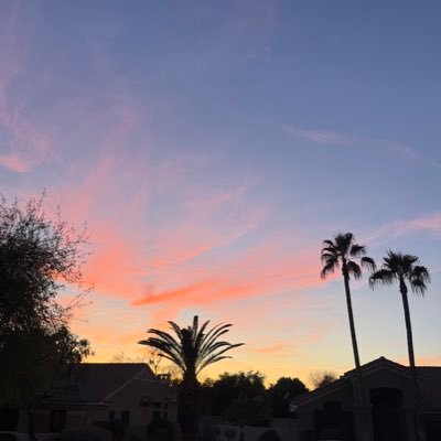 AliG1445's profile picture. I’m here for the softball