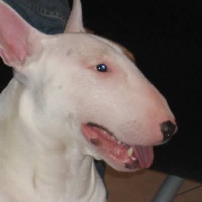 jshoalw's profile picture. カジバカ