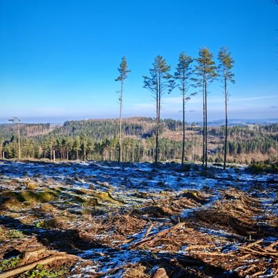 Seni0909's profile picture. GehWege*
angstfreie Meinungsäußerung*