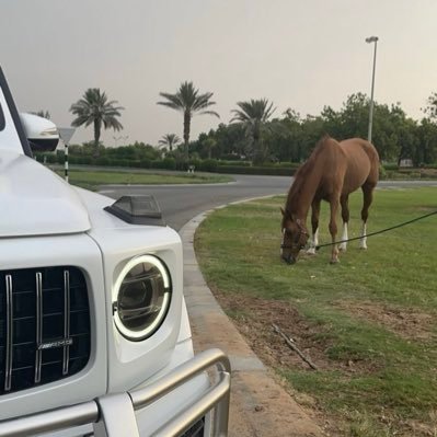 AAA1495490's profile picture. صانع محتوى