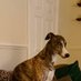... (@shaywood1968) Twitter profile photo ... (@shaywood1968) Twitter profile photo