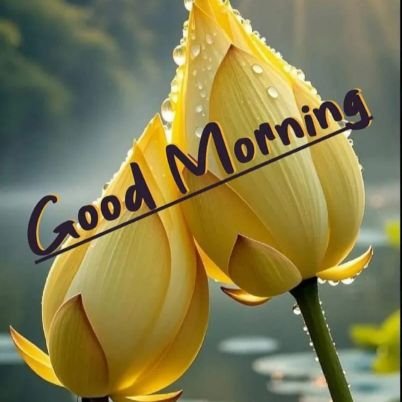 ramtsgg91's profile picture. 