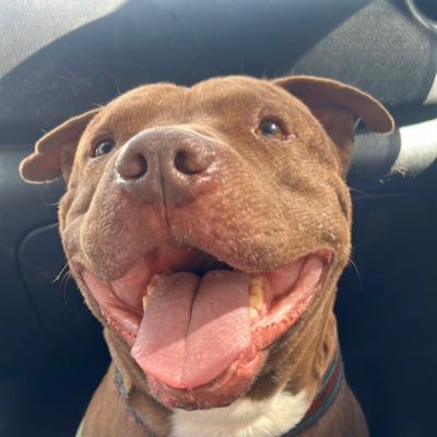 marchispasluna's profile picture. I can make the stars dance, light up the moon.