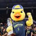 Yellow (@yellowthecanary) Twitter profile photo Yellow (@yellowthecanary) Twitter profile photo