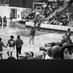Coach Juke (@coachjuke) Twitter profile photo Coach Juke (@coachjuke) Twitter profile photo