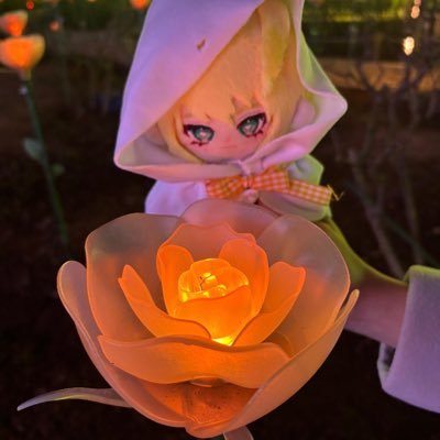 しほさんのプロフィール画像