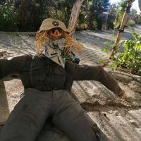 yuk mustafa (@yukmustafa86833) 's Twitter Profile