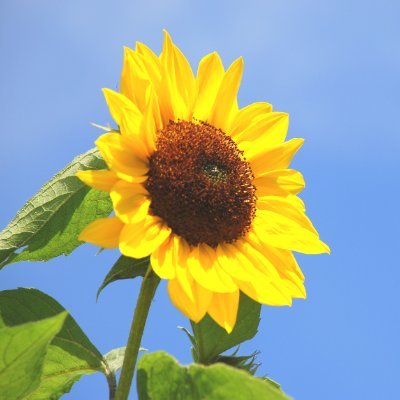 taylor223anjun's profile picture. 互追必回!!Please follow me I'll follow back! 0star ⛔!!
Fan for #Fayeyoko