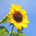 Taylor Ww(babebie)🌻💛🦋🫧 (@taylor223anjun) Twitter profile photo Taylor Ww(babebie)🌻💛🦋🫧 (@taylor223anjun) Twitter profile photo