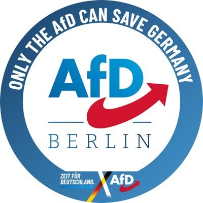 AfD Berlin Profile