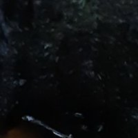 Exposure account for zachatkarts/antchovee (@fishhookerr) Twitter profile photo