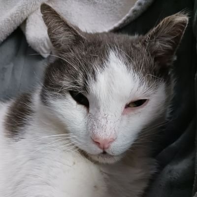 CrazyHorse7673's profile picture. 