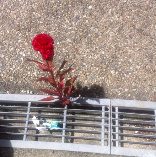 1emy260's profile picture. 