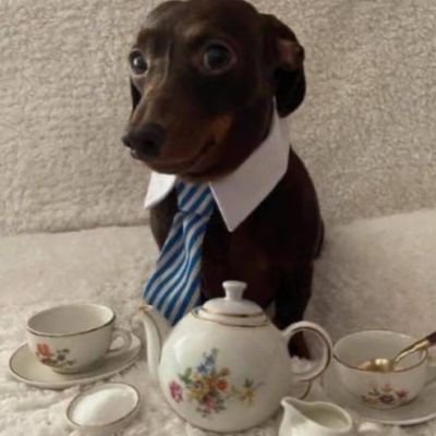 pinkmann77's profile picture. 🌲