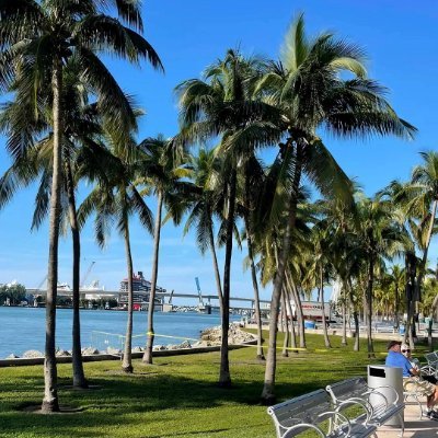 jiayi19850106's profile picture. How hard I have to work to have the future I want