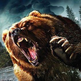 El Oso Rocker π»ποΈπ€π½π₯π¦β οΈ Profile
