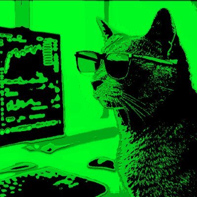 Trader_Cat1's profile picture. Top 3 Leveraged BTC Equity Plays: @CoinsiliumGroup | @K33HQ | @_ALTBG 
Top 3 Crypto Projects: @IQ6900_ | @OOBEonSol | @MoreRightDAO