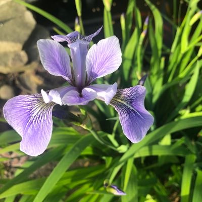 Shannon_W77's profile picture. 