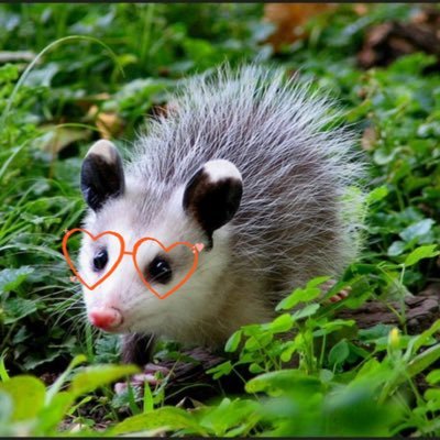 over_zee_lous's profile picture. (they/them)