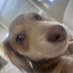 jaito (@jsunff) Twitter profile photo jaito (@jsunff) Twitter profile photo