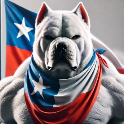 perromataprogre's profile picture. 