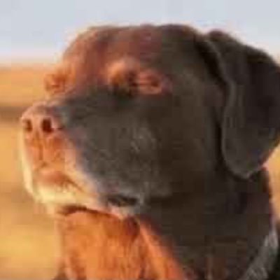 2kaymonkee's profile picture. 