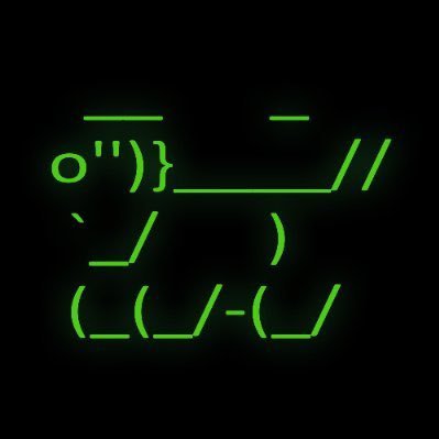 dogetradeshugo's profile picture. 