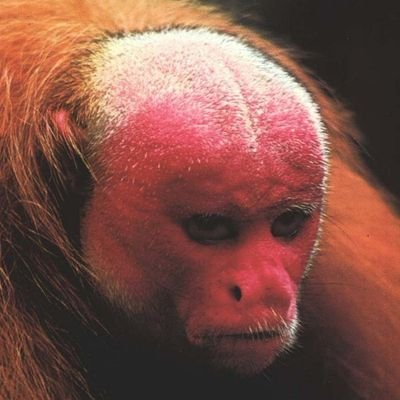 filipgaede's profile picture. .