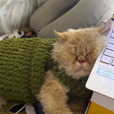 starguide36's profile picture. 